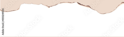 Burnt paper edges realistic vector illustration