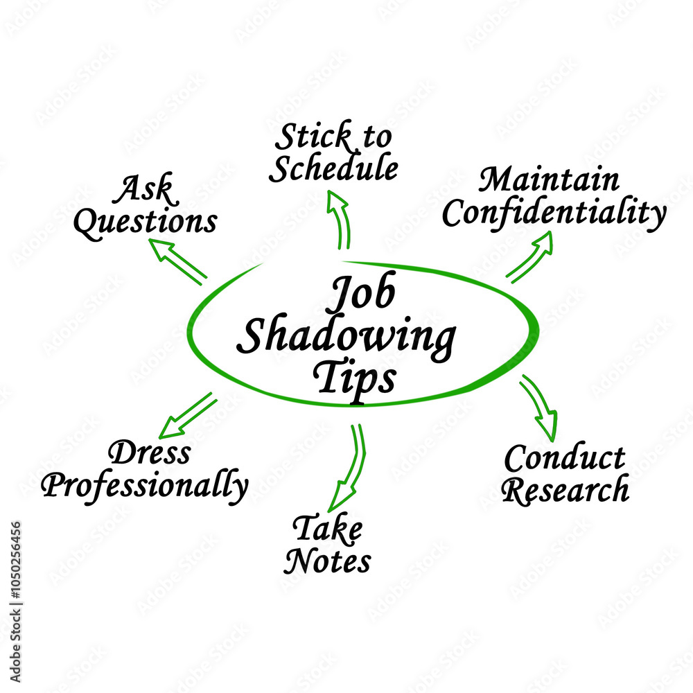 Fototapeta premium Six Job Shadowing Tips
