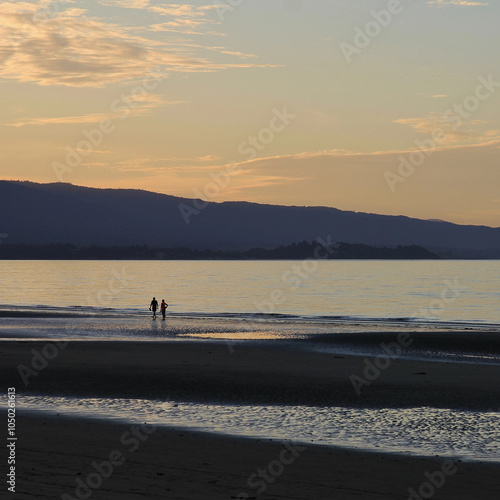 Morning scene at Pohara Beach, Golden Bay, New Zealand. photo