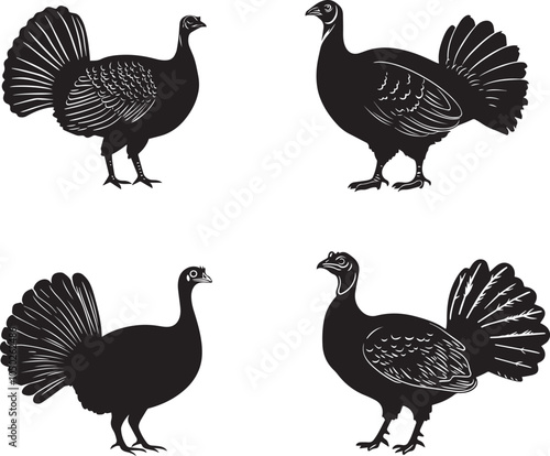 Silhouette of a turkey standing proudly, Thanksgiving Day vector silhouette