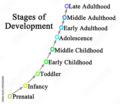 Fotografie Nine Stages of Development