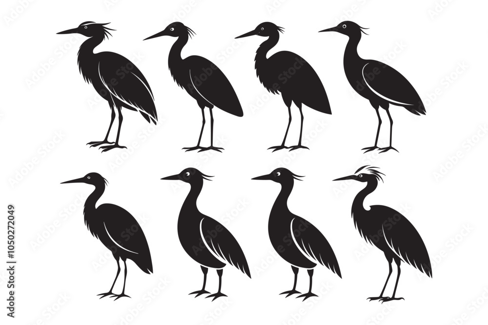 Fototapeta premium Cattle Egret Silhouette Vector Illustration, Cattle Egret Silhouette Bundle 