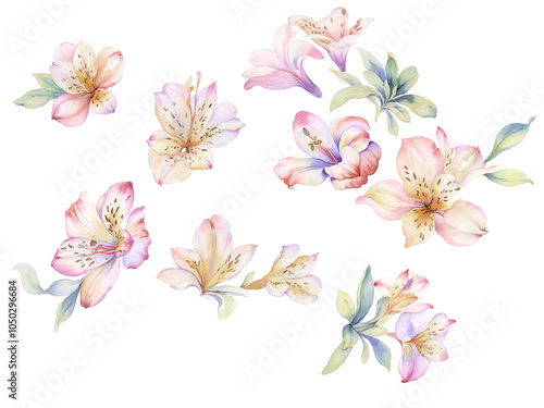 Exquisite Watercolor Patterns of Flowering Plants and Curly Designs