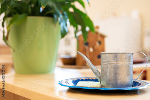 Vintage watering can and po...