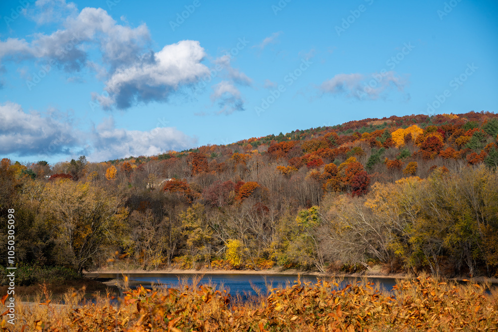 Obraz premium autumn landscape on the river