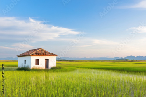 A solitary, whitewashed house stands amidst a lush green marshland, bathed in soft evening light