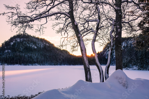 Snow-covered trees frame a frozen lake at sunrise, capturing the untouched beauty of winter. Concept: winter sunrise, tranquil nature, untouched landscape photo