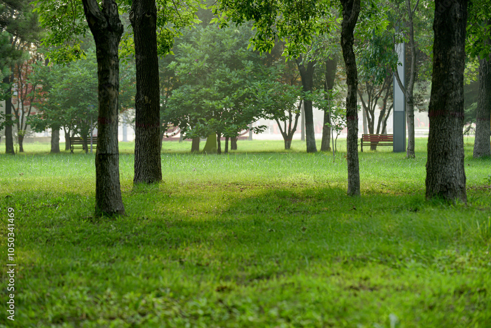 Urban parks, green spaces, forests, and wooden chairs for rest, creating a beautiful natural environment Urban parks, green spaces, forests, and wooden chairs for rest, creating a beautiful natural environment