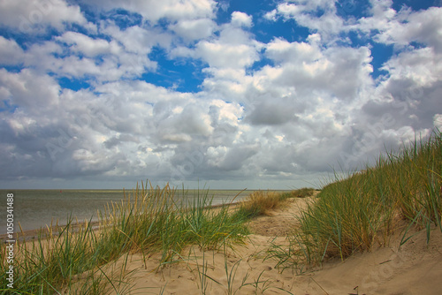 a day at the beach