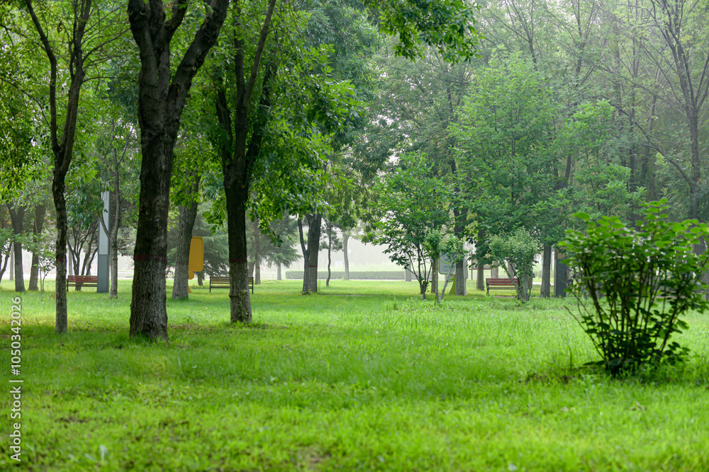 Urban parks, green spaces, forests, and wooden chairs for rest, creating a beautiful natural environment Urban parks, green spaces, forests, and wooden chairs for rest, creating a beautiful natural environment