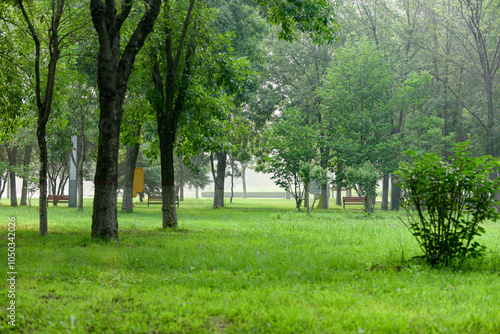 Urban parks, green spaces, forests, and wooden chairs for rest, creating a beautiful natural environment