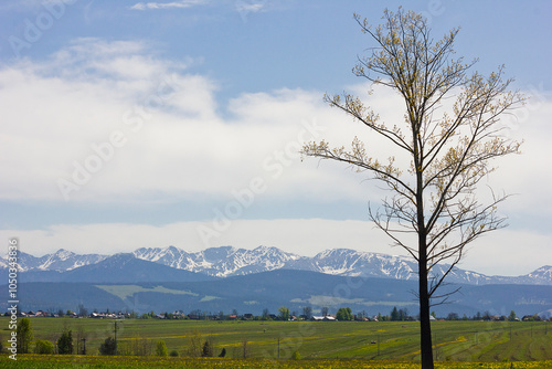 Fototapeta Naklejka Na Ścianę i Meble -  View of the Polish Tatras. Landscape with mountains on the horizon.
