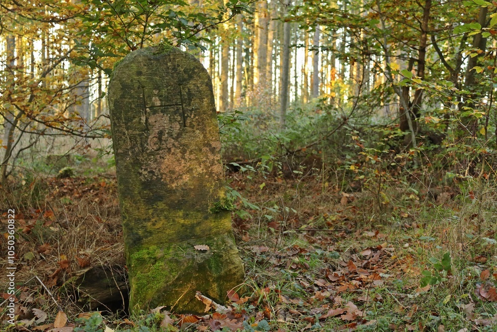 Fototapeta premium Alter Grenzstein im Nationalpark Kellerwald