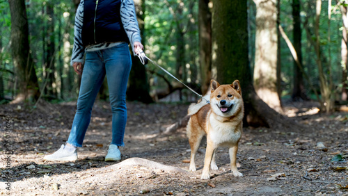 woman walking with dog in the park