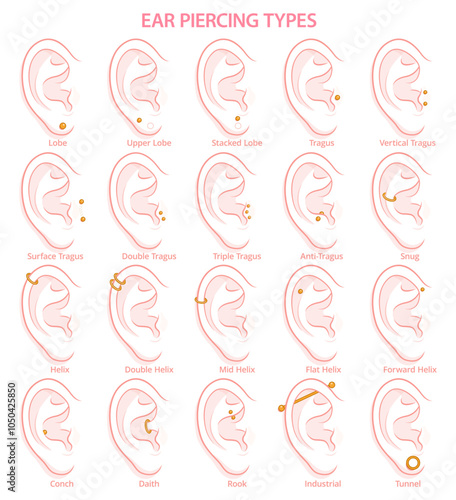 Vector diagram showing different ear piercing types. Infographic chart demonstrating flat, helix, tragus, rook, conch, lobe and daith.