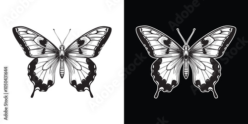 Retro vintage draw paint sketch in engraving style of butterfly insect animal illustration
