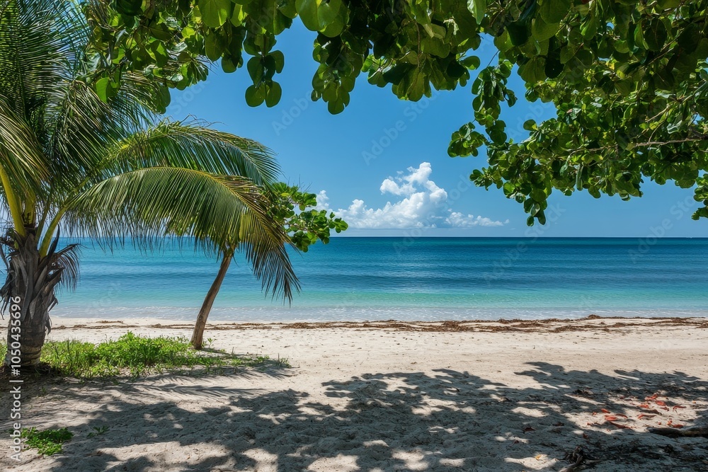Obraz premium A serene tropical beach with lush palm trees framing a picturesque view of the turquoise ocean and white sandy shore.