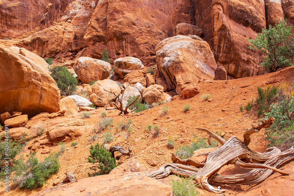 Scenic Fiery Furnace Terrain Rocks and Vegetation Scenic Fiery Furnace Terrain Rocks and Vegetation