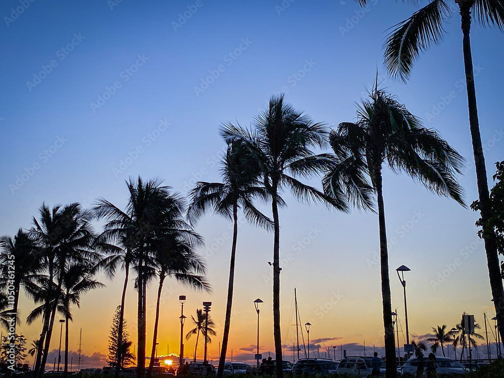 Obraz premium palm trees