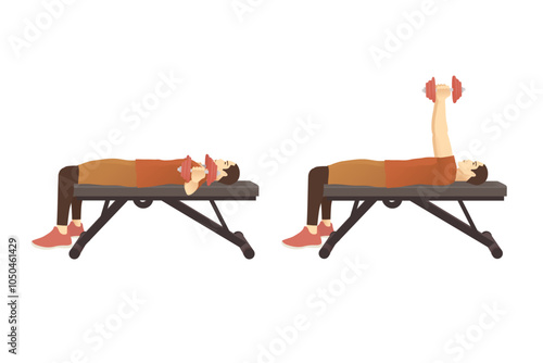 Sport man doing double arm dumbbell bench chest press exercise in 2 steps. Illustration about Fitness training to build chest muscles.