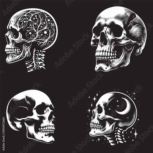 human skull vector silhouette