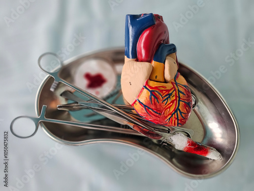 Cardiologist with scalpel anatomy of heart. photo