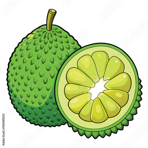 Breadfruit vector and illustration isolated on white background.