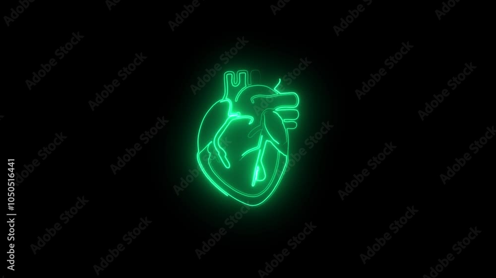Neon human heart animation. Animation of a beating glowing human heart with alpha channel. Human heart Neon human heart animation. Animation of a beating glowing human heart with alpha channel. Human heart