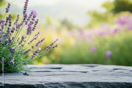 Ground level angle view, solid gray stone surface with blurred meadow of lavender and wildflowers in the background, showcasing copy space, ad promo template, product placement, floral field decor