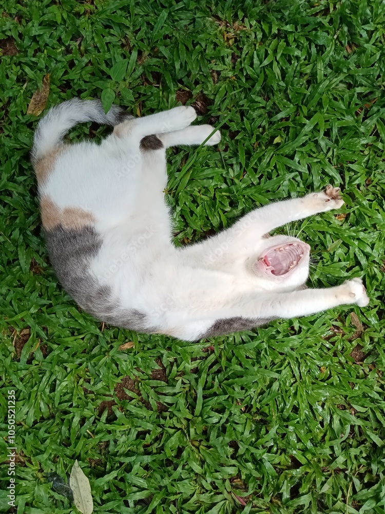 Obraz premium hand holding a mouse