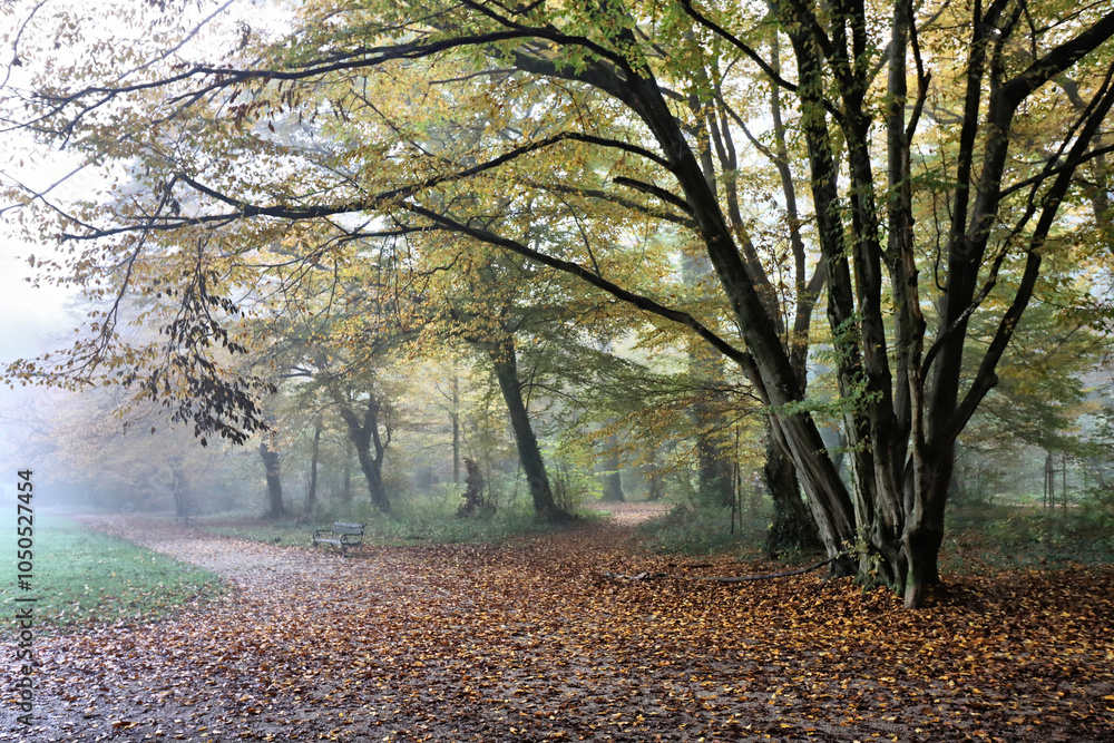 Fototapeta premium Relaxing