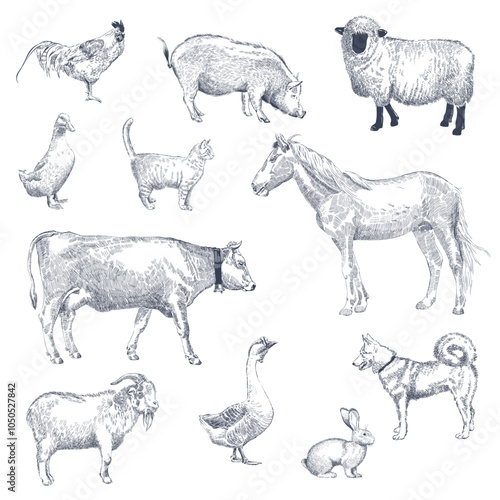 A big set of livestock and pets. Farm animals. Vector illustration in line style
