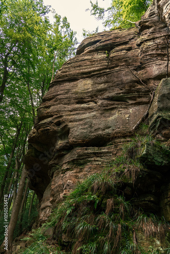 boulder in forest
