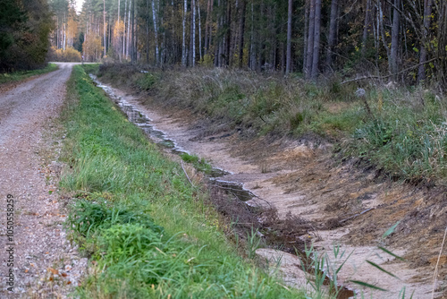 Forest road in Latvia in autumn season. Fresh ditch with sand and little water