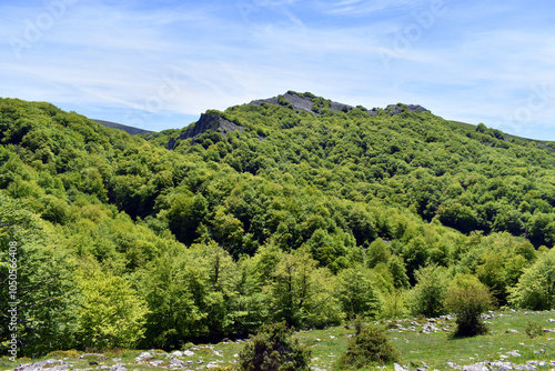 Beech forests in the Itxina...