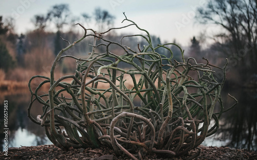 Twisted Branch Sculpture by the Lakeside in Winter, Generative AI