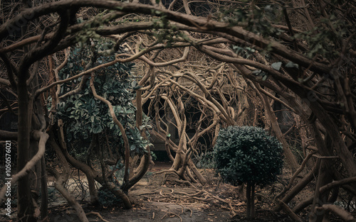 Mystical Forest Path with Twisted Branches and Dense Foliage, Generative AI
