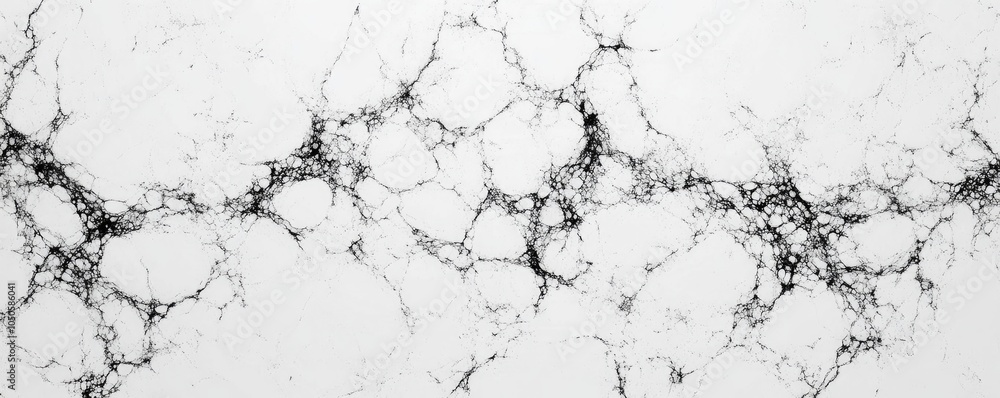 Fototapeta premium Abstract representation of neural networks or cellular structures in a monochromatic design.