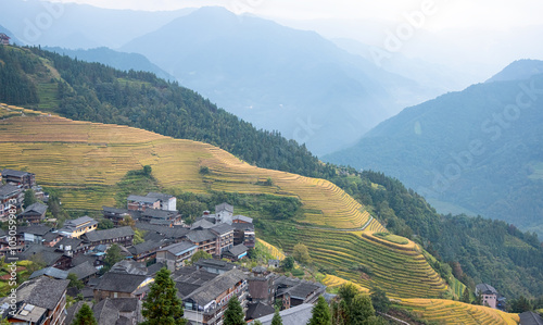 Terraced rice fields, Longshen near Guilin, Guangxi Province, People's Republic of China photo