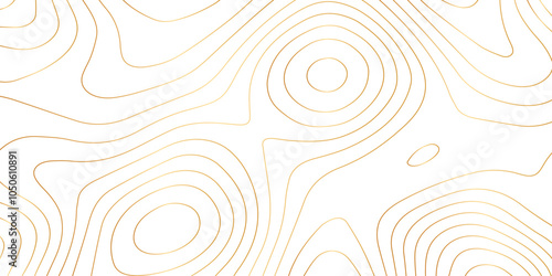 Abstract wave paper curved reliefs background .gradient multicolor wave curve lines banner background design .topographic contours map background .Vector geographic contour map.	