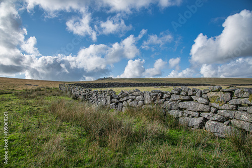 Great Staple Tor Dartmoor Nationalpark Devon photo