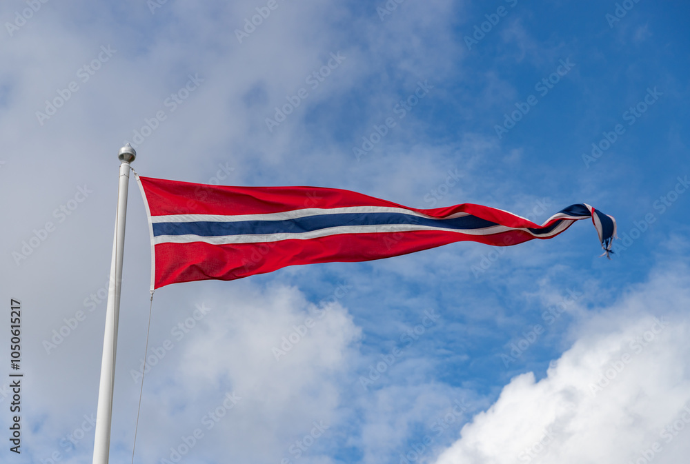 Norwegian Flag