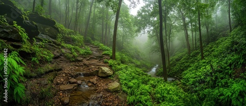 Forest restoration scene with towering trees, native plants flourishing, and streams winding gently under misty skies, symbolizing nature revival photo