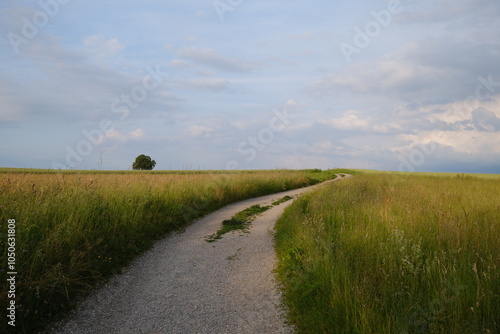 Ein geschwungener Kiesweg durch grüne Wiesen bei Zürich, eingefangen unter einem weiten, wolkigen Himmel. Ideal für Natur-, Landschafts- oder Wanderprojekte.