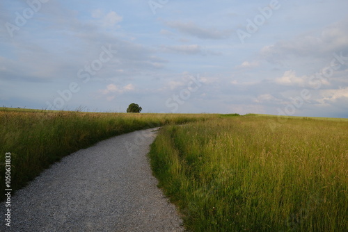 Ein geschwungener Kiesweg durch grüne Wiesen bei Zürich, eingefangen unter einem weiten, wolkigen Himmel. Ideal für Natur-, Landschafts- oder Wanderprojekte.