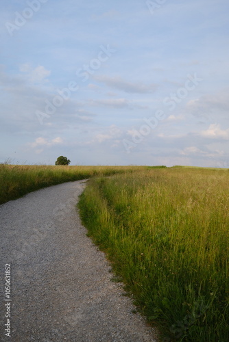 Ein geschwungener Kiesweg durch grüne Wiesen bei Zürich, eingefangen unter einem weiten, wolkigen Himmel. Ideal für Natur-, Landschafts- oder Wanderprojekte.