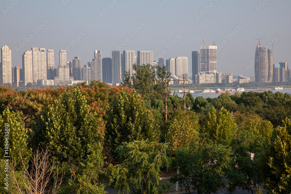 Fototapeta premium Cityscape of Wuhan China