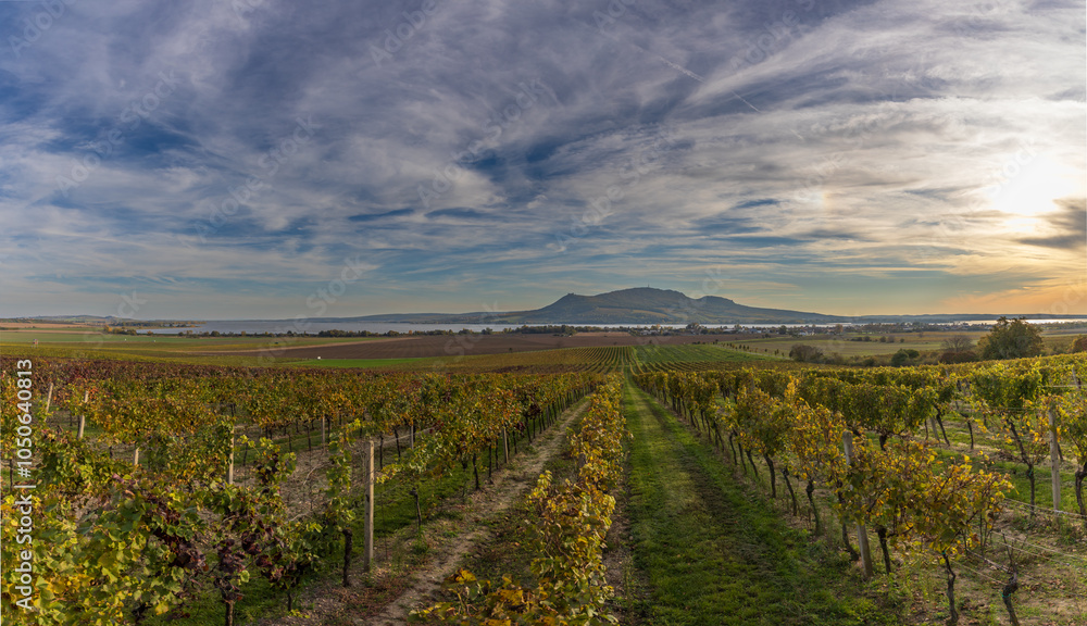 Fototapeta premium Autumn landscape with vineyard and view of Palava and Musov lake in Czech Republic. Dramatic clouds in the sky.