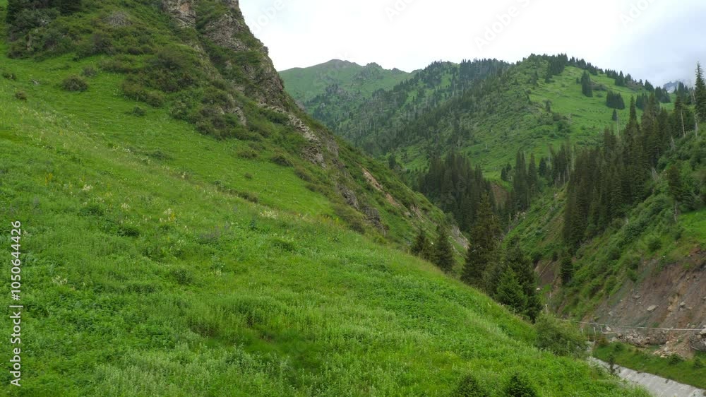 Panorama of sunny blue sky over mountain tops covered with dense green forest Panorama of sunny blue sky over mountain tops covered with dense green forest
