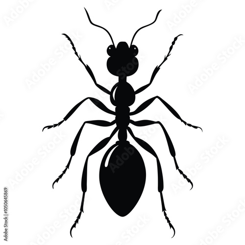  An Ant silhouette vector with a white background